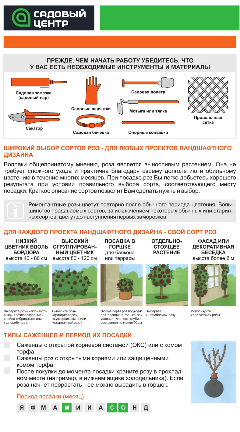 Посадка саженцев плодовых деревьев весной. При какой температуре можно высаживать деревья весной. Схема посадки саженцев плодовых деревьев. Схема весенней обрезки плодовых деревьев. Грунт для яблони при посадке весной.