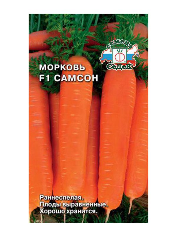 Морковка самсон фото и характеристики