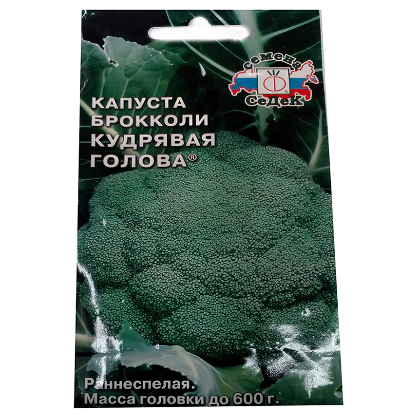 Кудрявая капуста картинки